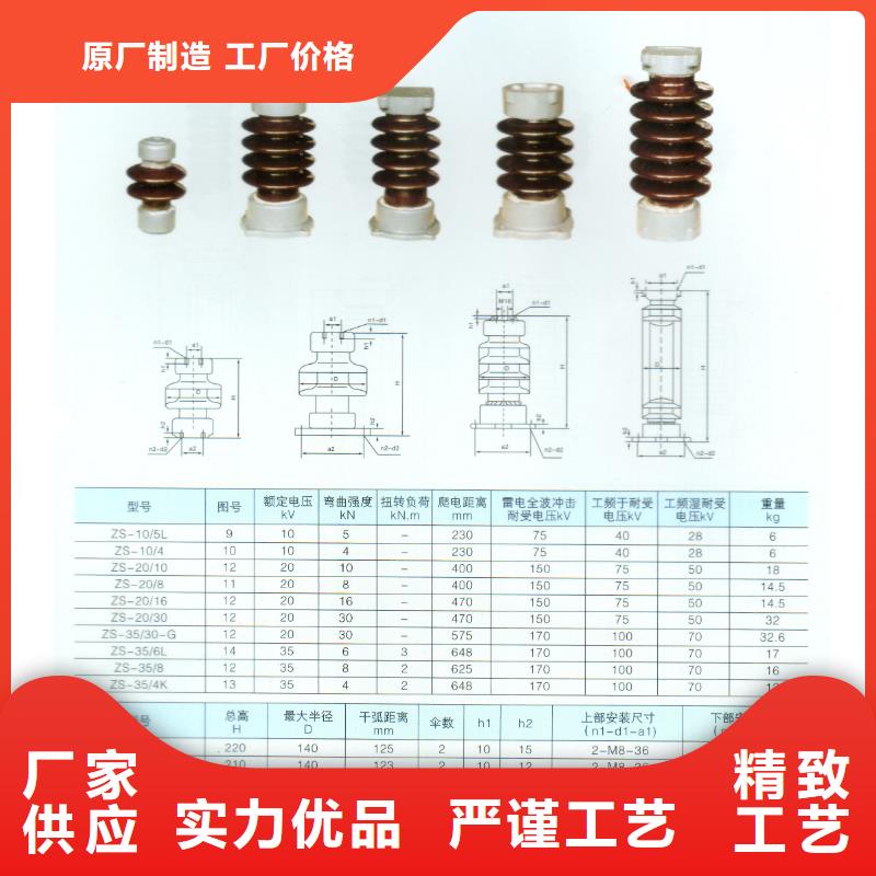 PSN-125/12.5ZS绝缘子