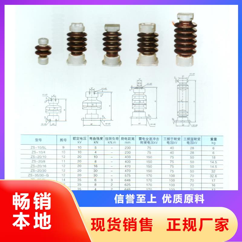 FPQ1-10/2T16针式绝缘子性能