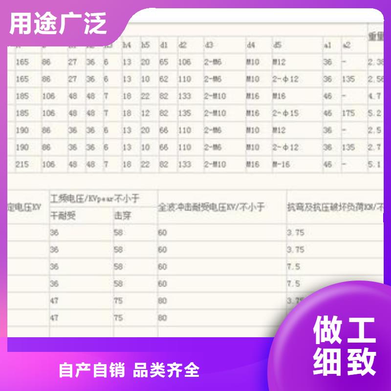 XWP2-100陶瓷绝缘子樊高电气