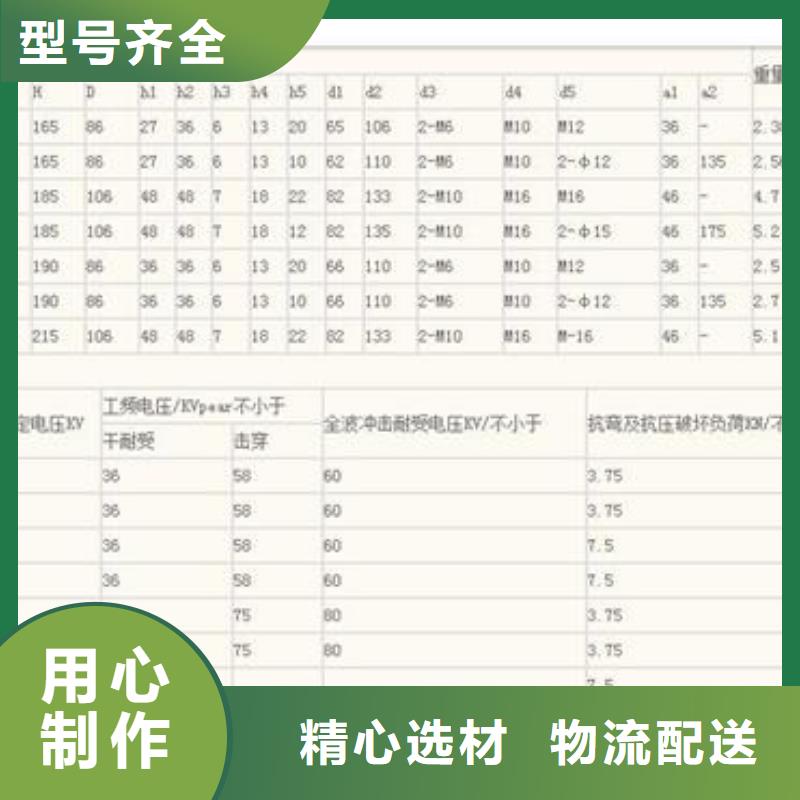 ZS2-10/1000户外支柱绝缘子