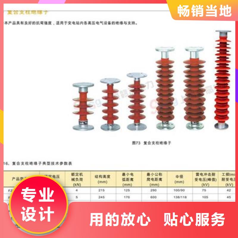 ZJ-35KV/130*320环氧树脂绝缘子