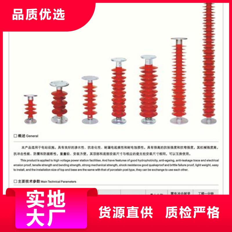 ZJ-10KV/70*130环氧树脂绝缘子