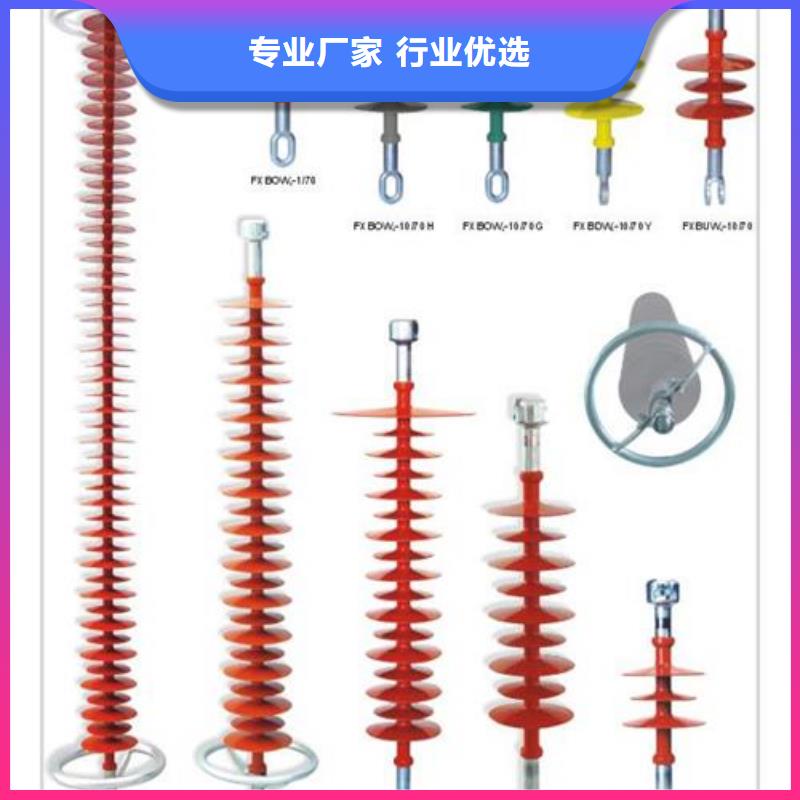 FXBW1-110/100棒型绝缘子