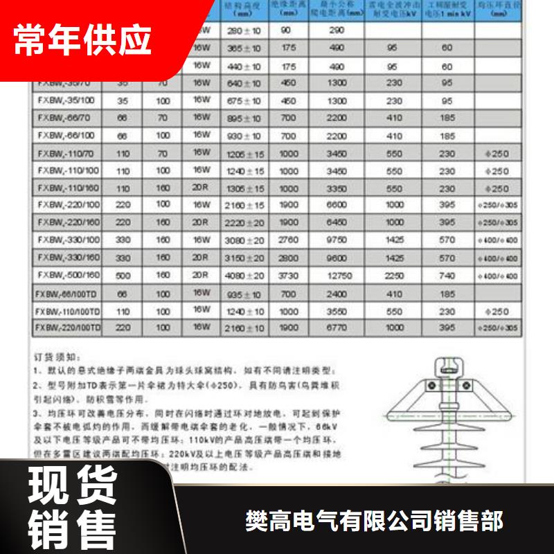 ZJ-35Q130*320高压绝缘子