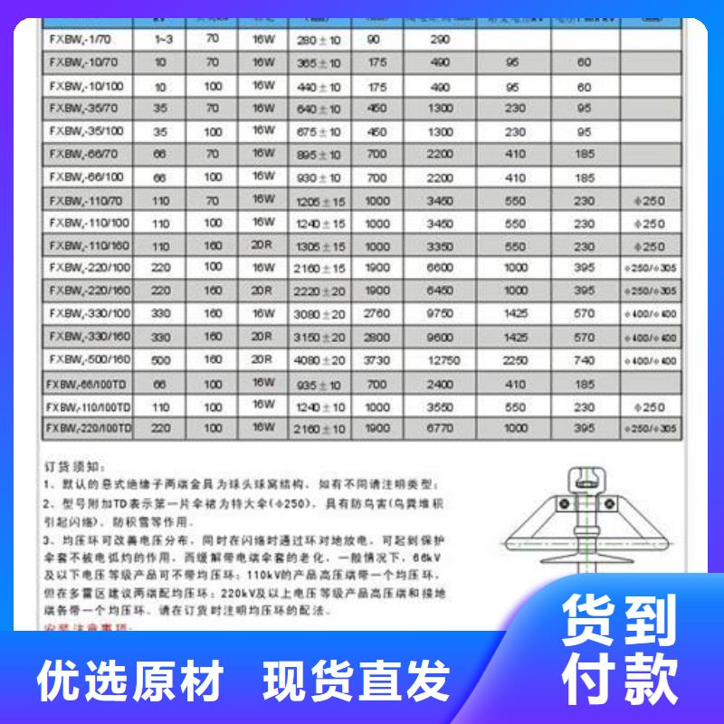 ZJ-10KV/85*145高压环氧树脂绝缘子