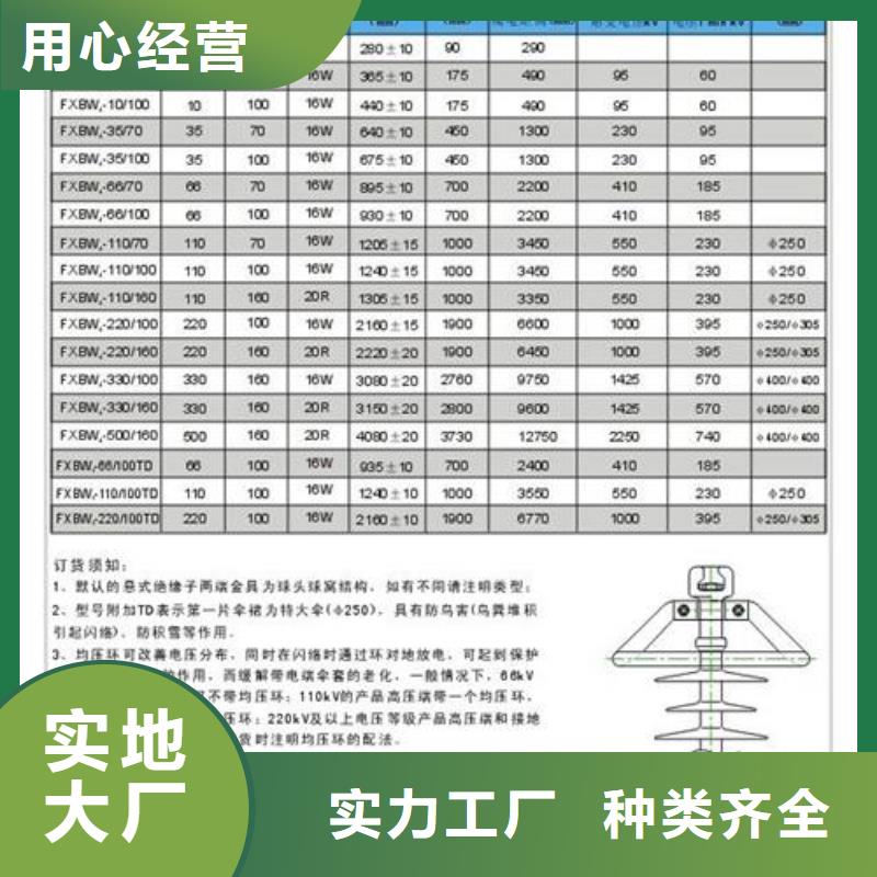 FPQ3-10/5T18硅胶绝缘子樊高