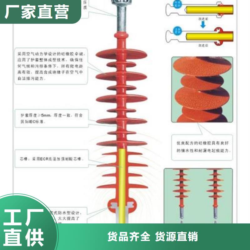 DXN-35T高压带电显示器