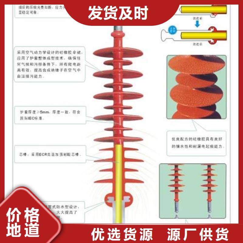 ZS2-10/1000高压陶瓷绝缘子多少钱