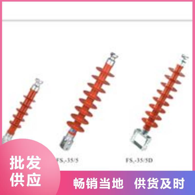 FXBW1-110/100棒型绝缘子