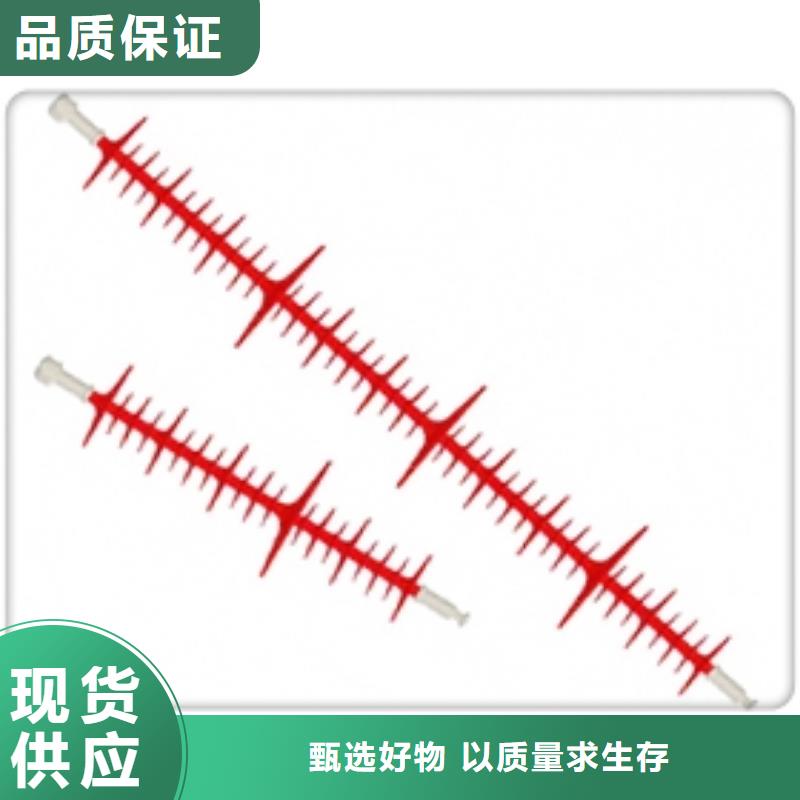 ZJ-10KV/70*130环氧树脂绝缘子
