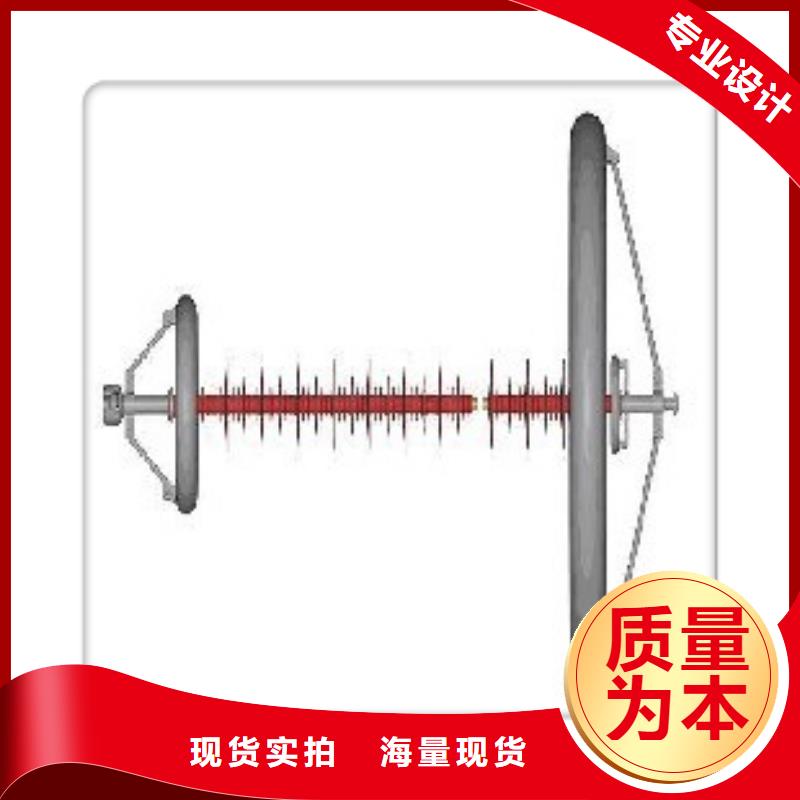 ZN-20/30陶瓷支柱绝缘子