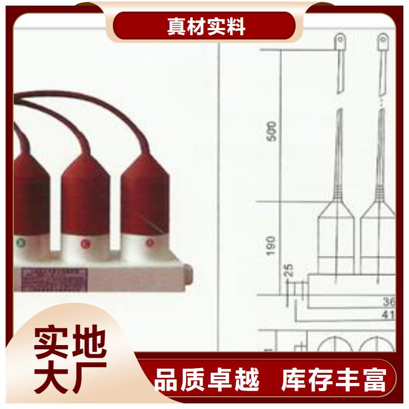 SCGB-B-12.7F/85中性点高压避雷器