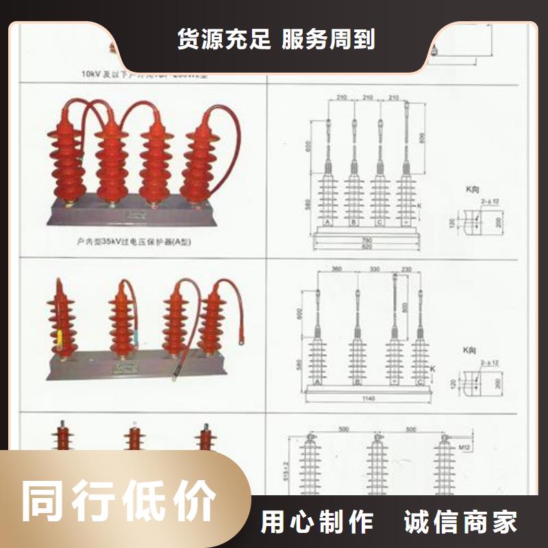 TBP-C-42/310F避雷器用保护器