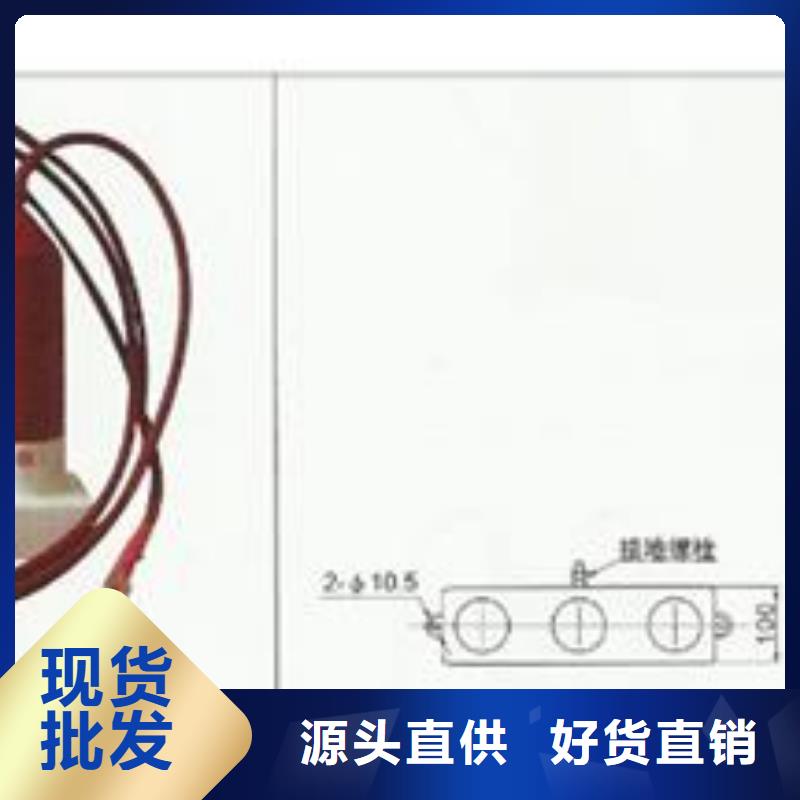BSTG-A-17/600过电压保护器樊高电气