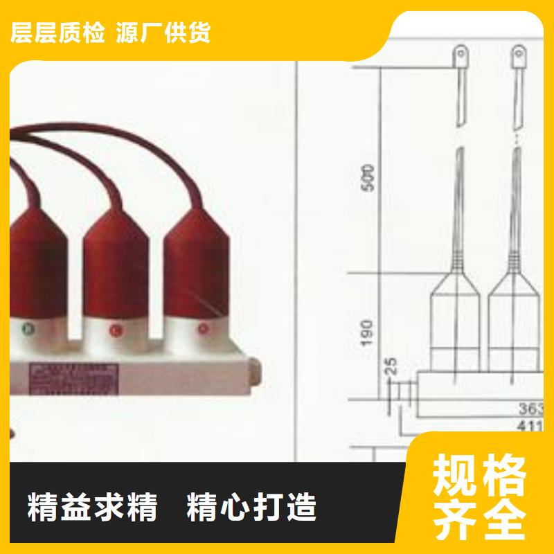 BSTG-C-7.6/131组合式避雷器