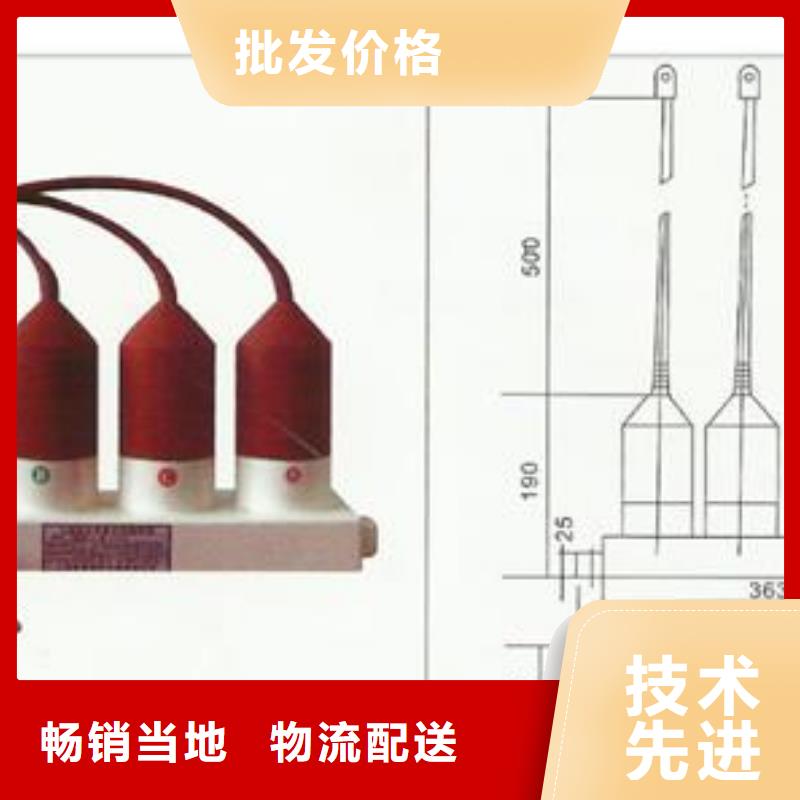 TBP-C-12.7/131避雷器用保护器