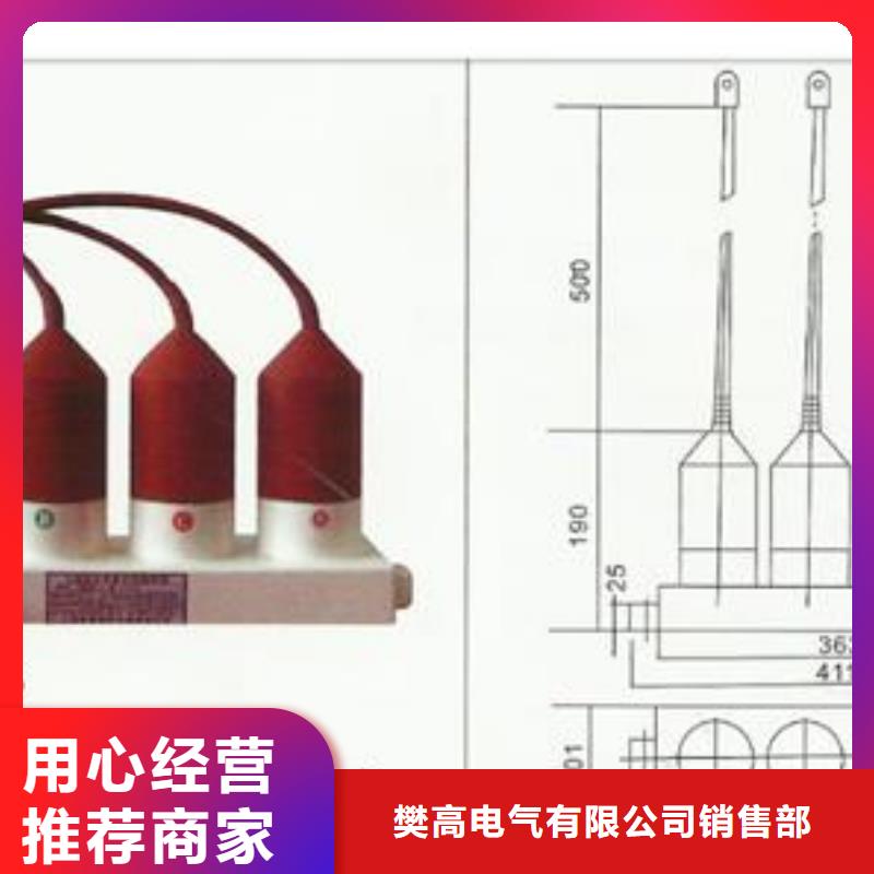 TBP-A-42F/400W1组合式避雷器樊高电气