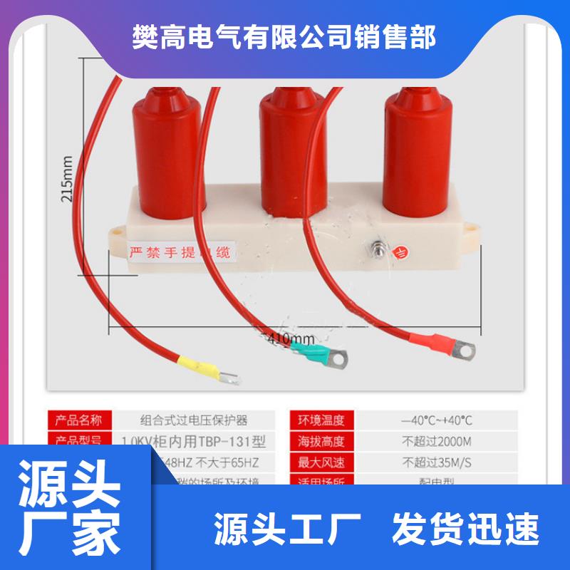 TBP-C-12.7F/131间隙过电压保护器