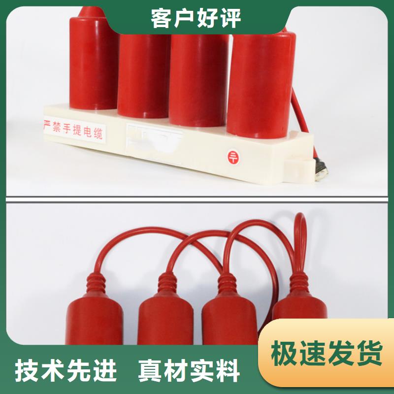 TBP-B-42F/200三相组合式避雷器厂家