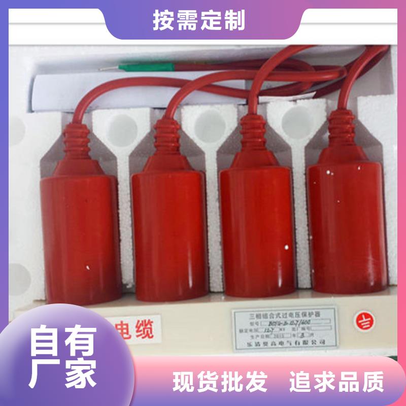 TBP-A-7.6F/100W1三相组合式避雷器厂家