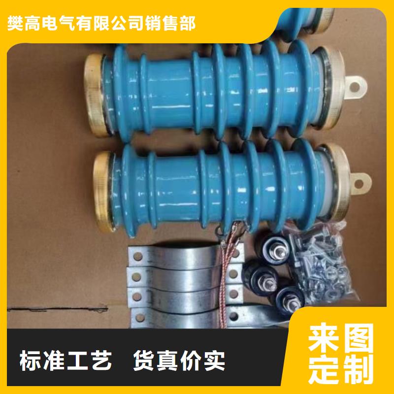 TBP-C-42/310F避雷器用保护器