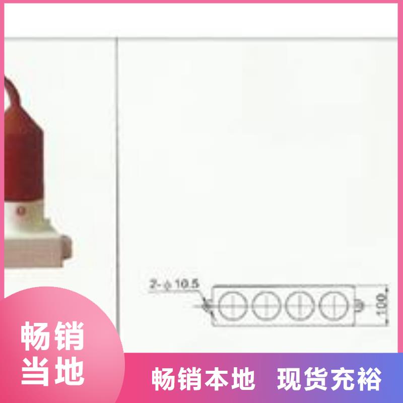 TBP-C-42/310F避雷器用保护器