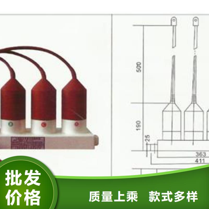 TBP-A/F-6.3/85三相组合式过电压保护器樊高电气