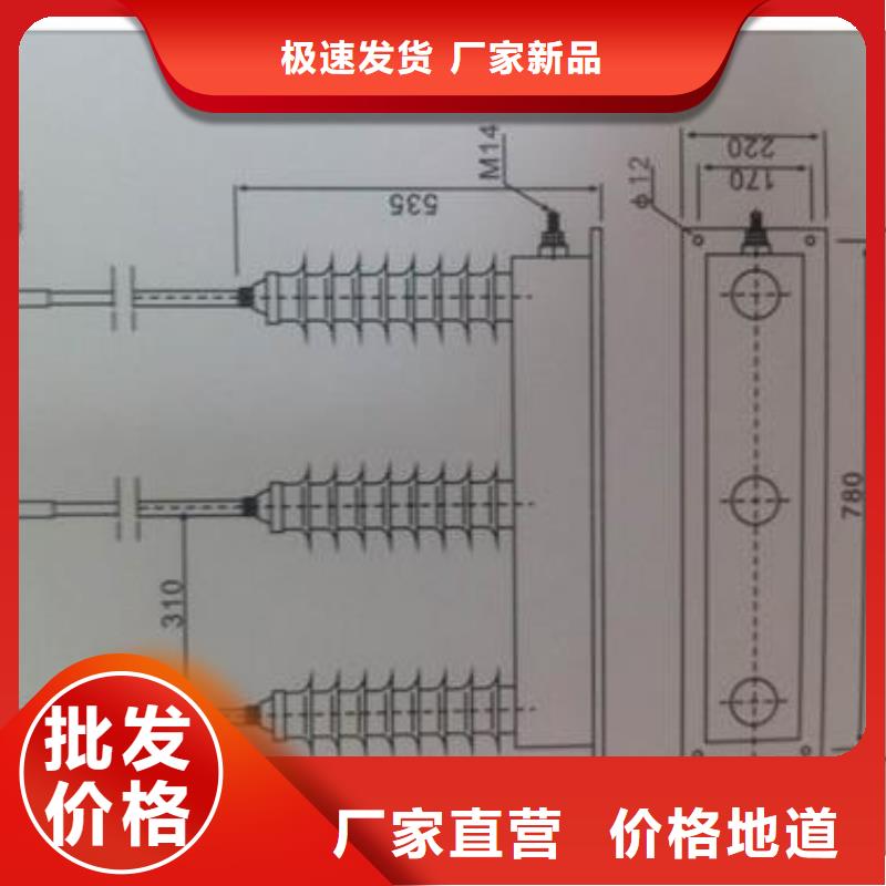 TBP-C-42/310F避雷器用保护器