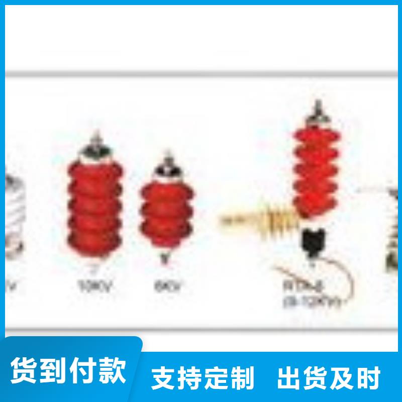 TBP-C-42F/630W组合式避雷器