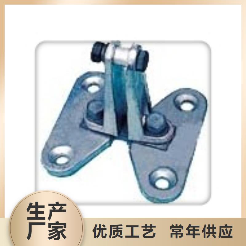 TMY-10*80铜排樊高