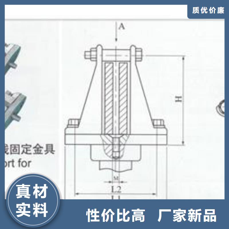 TMY-10*80铜排樊高