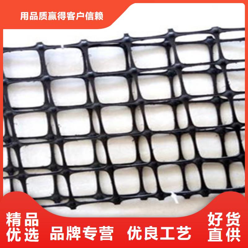 双向塑料格栅高强度土工网厂家销售