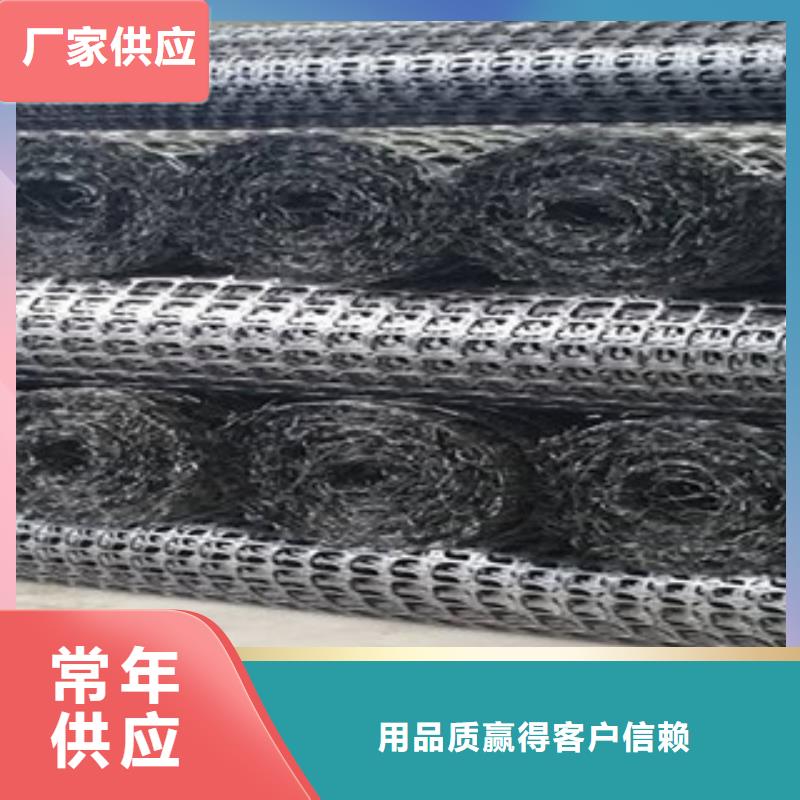 双向塑料格栅膨润土防水毯库存量大
