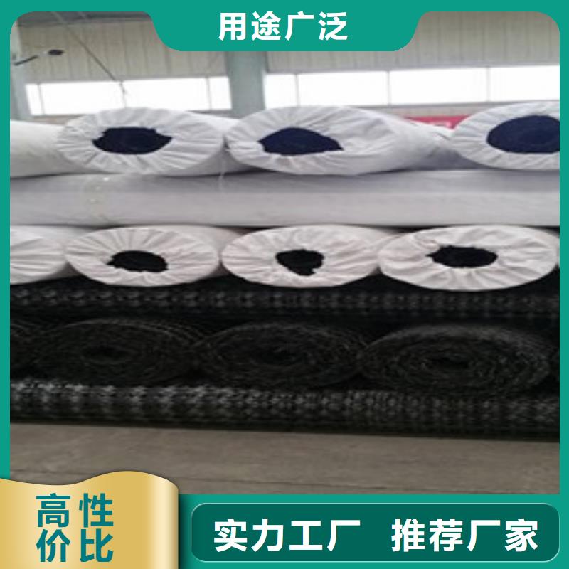 双向塑料格栅膨润土防水毯发货及时