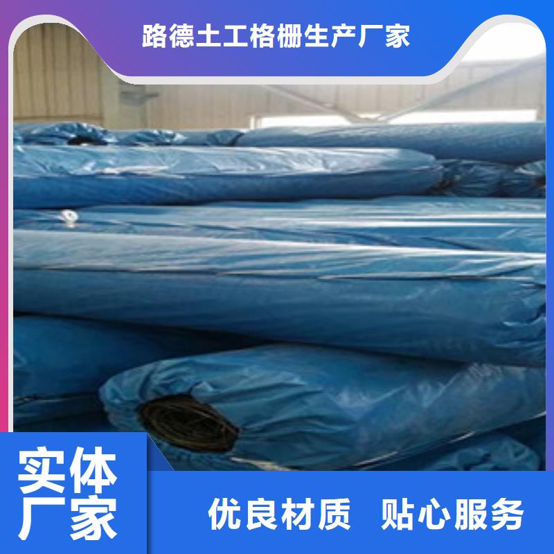 双向塑料格栅膨润土防水毯库存量大