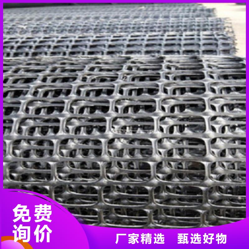 双向塑料格栅三维植被网量大从优