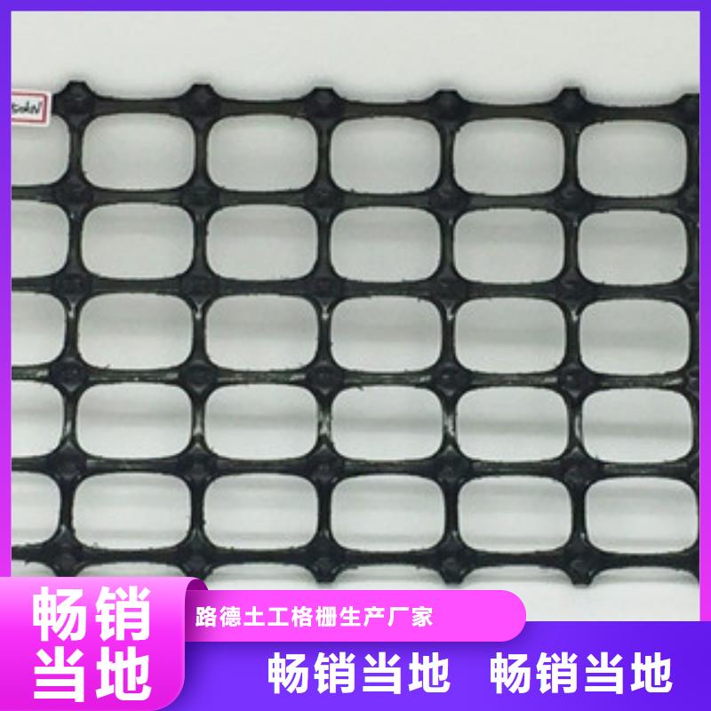双向塑料土工格栅批发价
