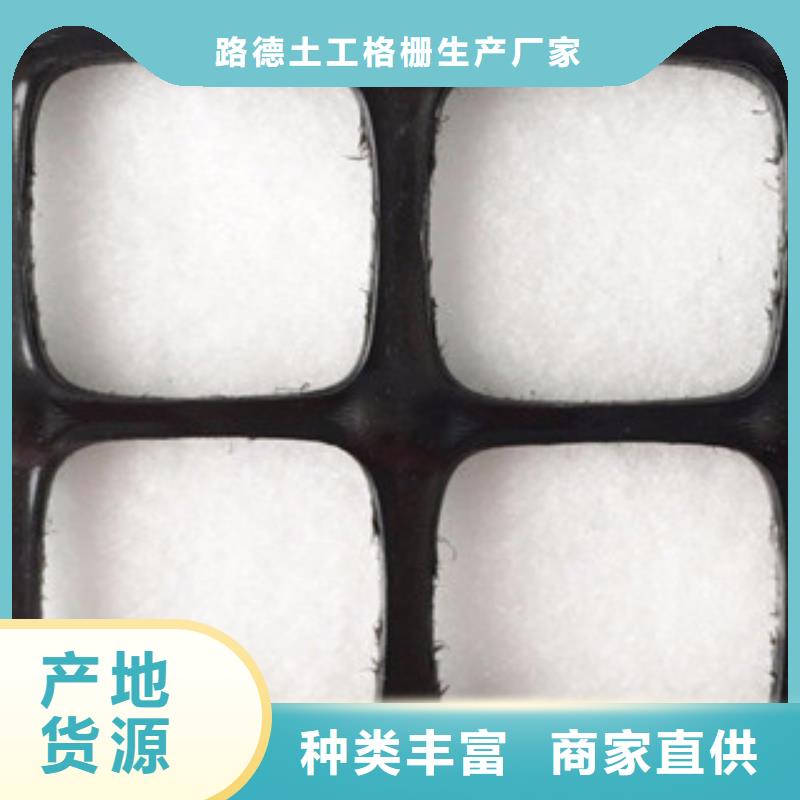 双向塑料格栅高强度土工网厂家销售
