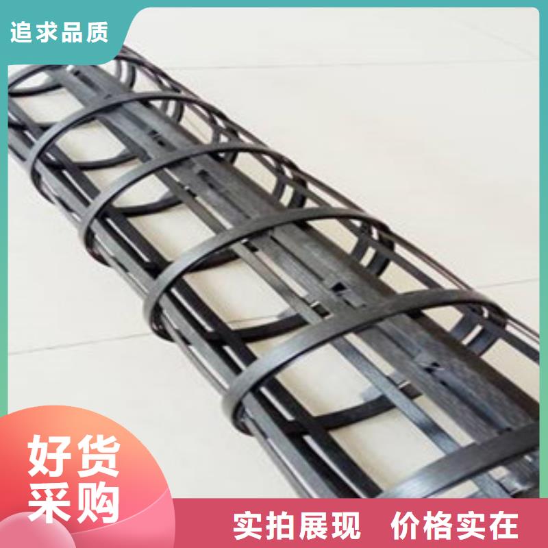 钢塑土工格栅玻纤土工格栅厂家精选