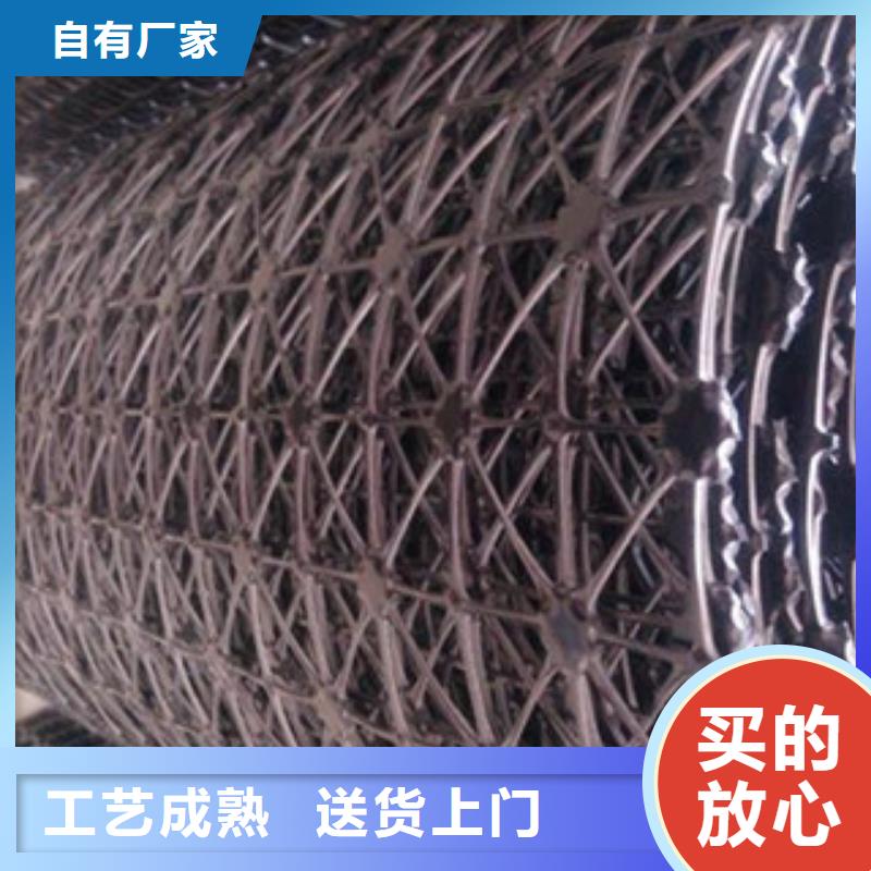 钢塑土工格栅,玻纤土工格栅厂家实力大