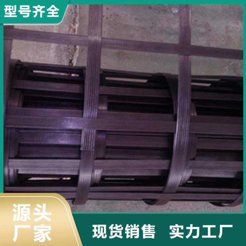 钢塑土工格栅玻纤土工格栅厂家精选