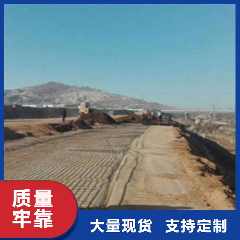 钢塑土工格栅玻纤土工格栅厂家精选