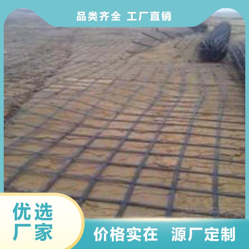 钢塑土工格栅膨润土防水毯市场报价