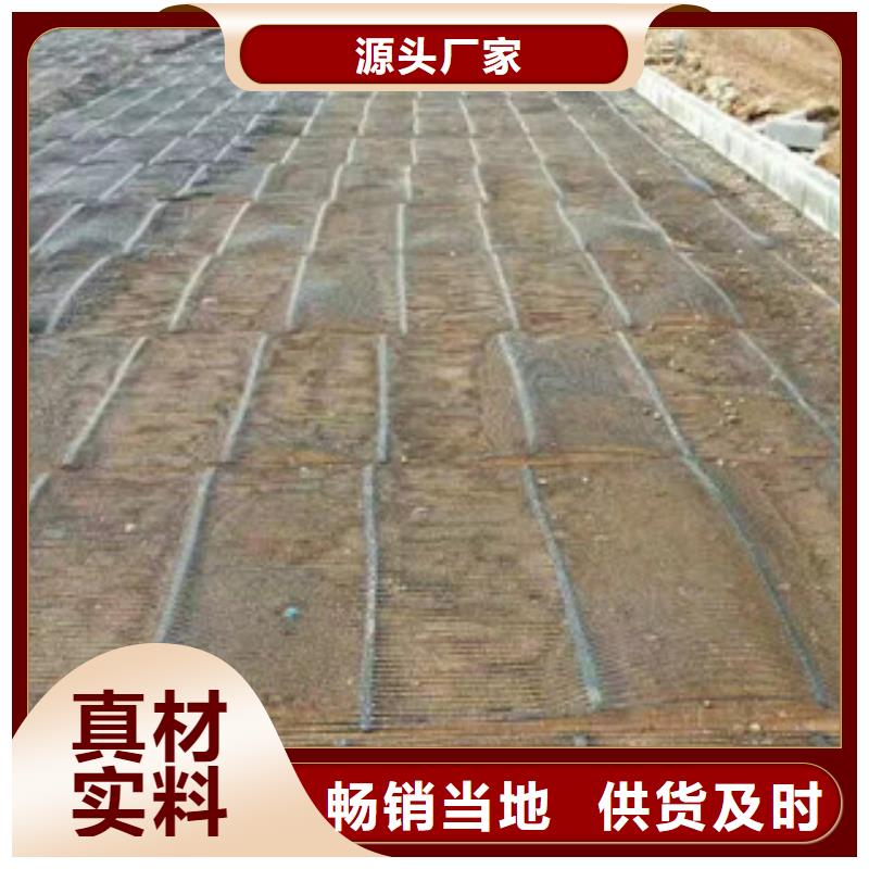 单向塑料格栅-塑料土工格栅产地直销