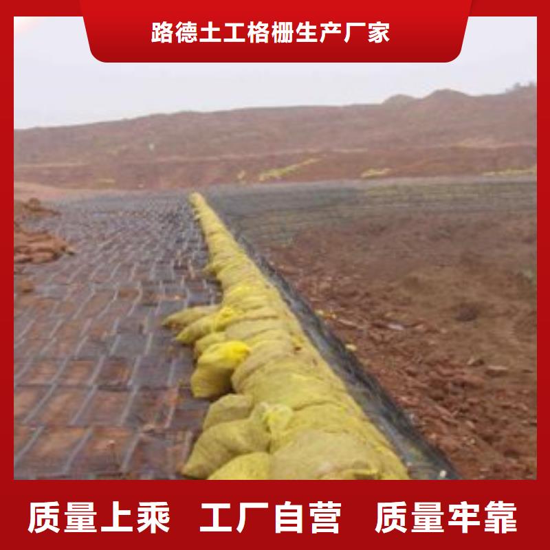 单向塑料格栅-塑料土工格栅产地直销