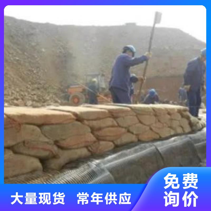 单向塑料格栅三维植被网物流配送