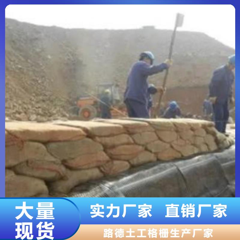单向塑料格栅-塑料土工格栅产地直销