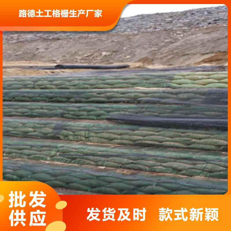 单向塑料格栅三维植被网物流配送