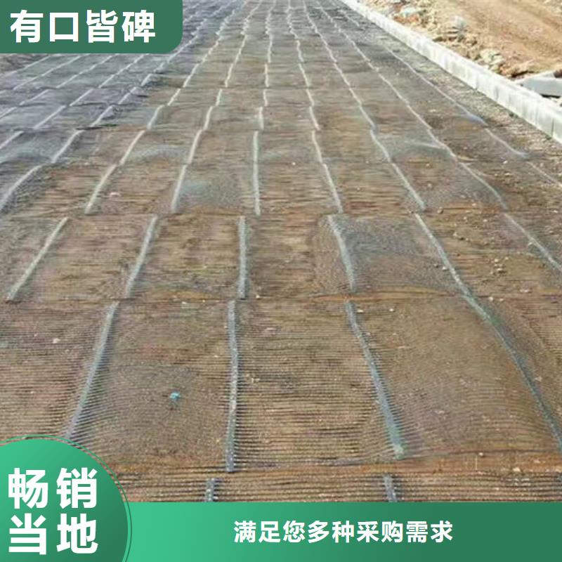 单向塑料格栅-塑料土工格栅产地直销