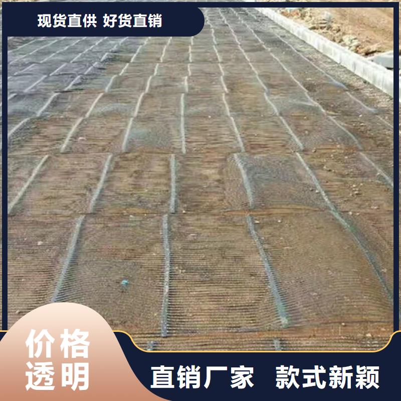 单向塑料格栅_塑料土工格栅多种工艺